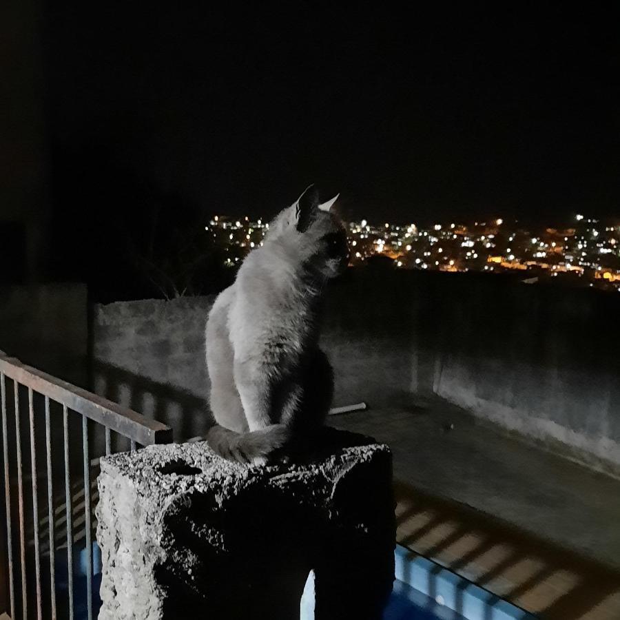 Vila Casa De Temporada Sao Lourenco  Exteriér fotografie